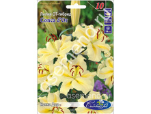 ����� ���.jpg