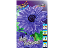 8,88���. ������� ���� ���������(���������� ������ ������ ���������� �� 10 ��.).jpg