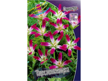 107���. �������� �������������(�������� ���� �� 1 ��., ����������� ����� 1��.).jpg