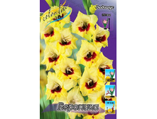 10,18���. ��������� ��������(���������� ������ ������ ���������� �� 9 ��.).jpg