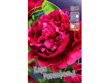 165,1���. ���� ���� ����������(�������� ���� �� 1 ��., ����������� ����� 1��.).jpg