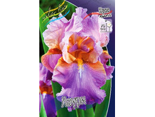 95,3���. ���� ���������� �����(�������� ���� �� 2 ��., ����������� ����� 1��.).jpg