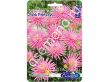 ���� ��������.jpg