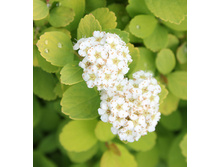 248���. ������ ������������� ��� ���� ���16.jpg