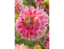 75,6���. �������� ����� �� �����(�������� ���� �� 1 ��., ����������� ����� 1��.)���16.jpg