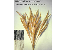 11/0007� �����