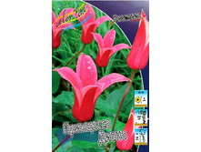 178,87���. �������� ��������� �����(�������� ���� �� 3 ��., ����������� ����� 1��.).jpg