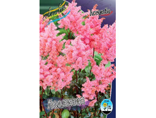 97,1���. �������� ��������(�������� ���� �� 1 ��., ����������� ����� 1��.).jpg