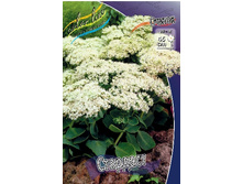 96,65���. ������ ��������(�������� ���� �� 2 ��., ����������� ����� 1��.).jpg