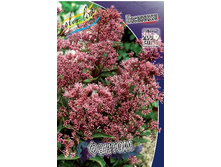 155,1���. ��������� ������(�������� ���� �� 1 ��., ����������� ����� 1��.).jpg