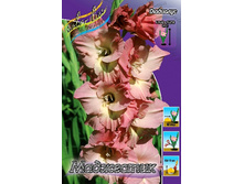 10,93���. ��������� ���������(���������� ������ ������ ���������� �� 8 ��.).jpg