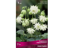 ��������� ������ ������� ���� ������.jpg