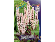 246,4���. �������� ���� �����(�������� ���� �� 1 ��., ����������� ����� 1��.).jpg