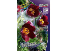 76,75���. �������� ��� �����(�������� ���� �� 2 ��., ����������� ����� 1��.).jpg