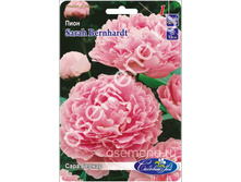 ���� ������.jpg