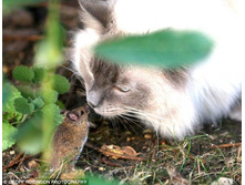 ��� � ���� �������� - 2