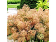 389���. ������� ���������� ��� ����.jpg