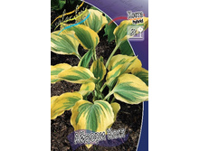 213,2���. ����� ������ ����(�������� ���� �� 1 ��., ����������� ����� 1��.).jpg