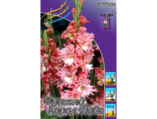 11,29���. ��������� ������� ����� ����(���������� ������ ������ ���������� �� 8 ��.).jpg