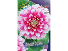 84,8���. �������� ����� �����(�������� ���� �� 1 ��., ����������� ����� 1��.).jpg