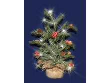 736/12315 ���������� 38��