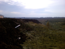 IMG 20151018 111725.jpg