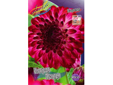 84,8���. �������� ������ �����(�������� ���� �� 1 ��., ����������� ����� 1��.).jpg