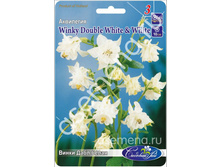 ����� ���� �����.jpg