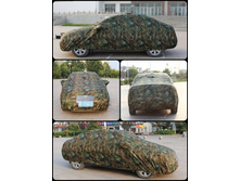 ���� �������� ��������1.jpg