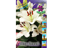 37,4���. ����� ��� �����(�������� ���� �� 5 ��., ����������� ����� 1��.).jpg