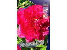 199,9���. ���� �������� �'��(�������� ���� �� 1 ��., ����������� ����� 1��.).jpg