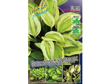 196,6���. ����� �������� ��������(�������� ���� �� 1 ��., ����������� ����� 1��.).jpg