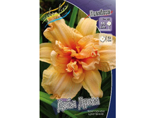 130,3���. �������� ���� ����(�������� ���� �� 1 ��., ����������� ����� 1��.).jpg