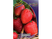 31,02���. ��������� ������� �������(���������� ������ ������ ���������� �� 5 ��.).jpg