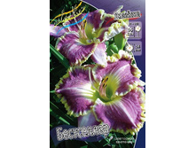 246,4���. �������� ����������(�������� ���� �� 1 ��., ����������� ����� 1��.).jpg