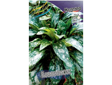 107���. �������� ����������(�������� ���� �� 1 ��., ����������� ����� 1��.).jpg