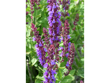 88,8���. ������� ��� ��������(�������� ���� �� 1 ��., ����������� ����� 1��.).jpg