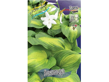 126,9���. ����� �������(�������� ���� �� 1 ��., ����������� ����� 1��.).jpg