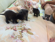 2015-08-28 01.29.23.jpg