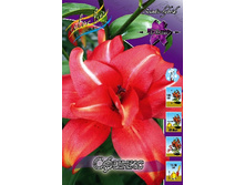 40,86���. ����� ������(�������� ���� �� 5 ��., ����������� ����� 1��.).jpg