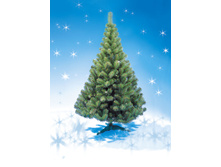 ��� ������������� ��������� �������, ����-����.jpg