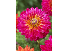 82���. �������� �� ����(�������� ���� �� 1 ��., ����������� ����� 1��.)���15.jpg