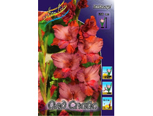 13,56���. ��������� ��� �����(���������� �� ����� �������� �� 7��.).jpg