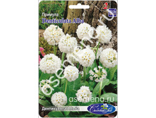 ����������� �����.jpg