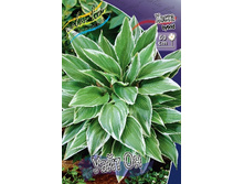 83,8���. ����� ���� ��(�������� ���� �� 1 ��., ����������� ����� 1��.).jpg