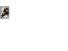 ���������10.png