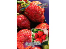 47,28���. ��������� ������� �������(���������� ������ ������ ���������� �� 5 ��.).jpg