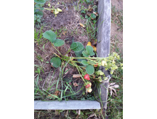 20151006 063217.jpg