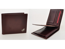 4213 V-CHERY 1365���.jpg