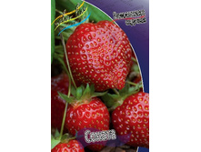 30,7���. ��������� ������� ������(���������� ������ ������ ���������� �� 5 ��.).jpg